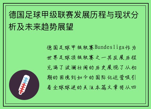 德国足球甲级联赛发展历程与现状分析及未来趋势展望